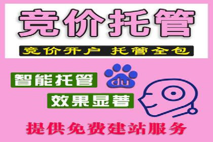 SEM代理实战：案例分享，优化效果显著